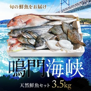 鳴門海峡冷凍鮮魚セット 3.5kg （ 4～5種 ）鳴門海峡 鮮魚 冷凍 旬の魚 鳴門わかめ 詰め合わせ セット 魚 