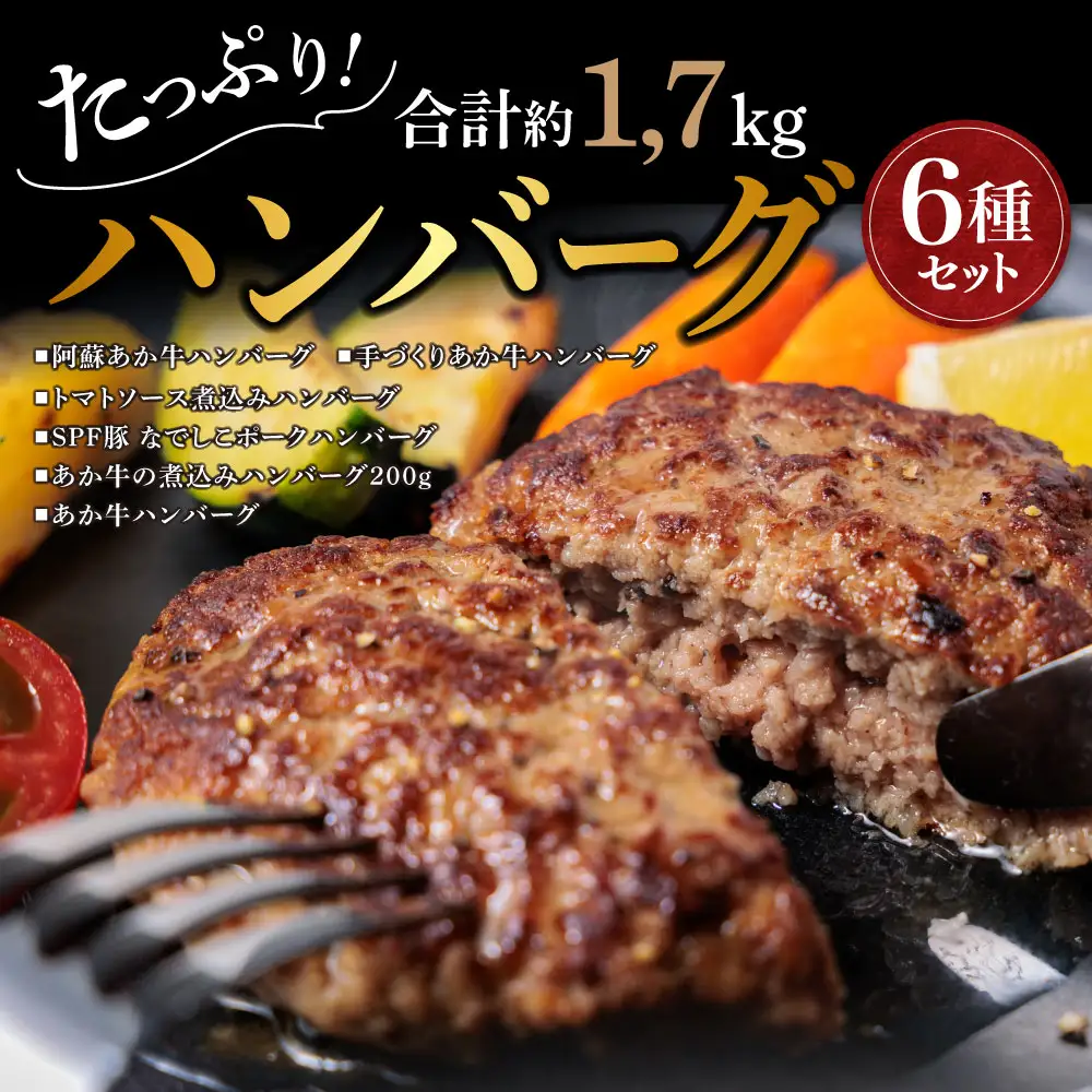 種類いろいろ！ハンバーグ セットver.2