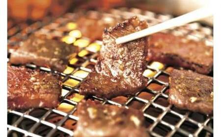 ＜創業40年、焼肉一筋＞　老舗焼肉店の共通お食事券（15,000円分）【リソウグループ】（和牛 国産牛 焼肉 特選 カルビ ロース タン ヒレ 国産 和牛 肉 牛 老舗の 焼肉 人気 焼肉 焼肉 彩苑じゅうじゅう亭 焼肉 広場ボンボン 焼肉 一筋 美味しい 肉  和牛 返礼品 お食事券 食事券）DB02-FN