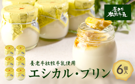【★高評価レビュー獲得！】養老牛放牧牛乳使用エシカル・プリン6個 プリン オーガニック オーガニック牛乳 牛乳 おいしい牛乳 乳製品 乳飲料 有機JAS認証 低温殺菌 高栄養 スイーツ ふるさと納税 北海道 中標津町 中標津【1301302】