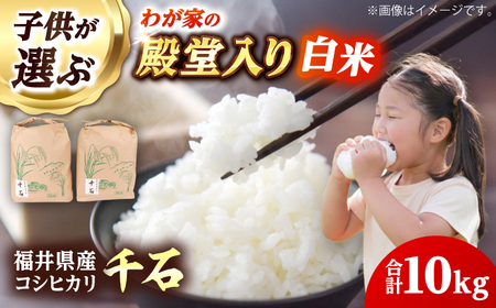 【 先行予約 /10月以降配送】【令和7年産】福井県産コシヒカリ「千石」 10kg 小浜市 / 千石の郷  [BFCA001]