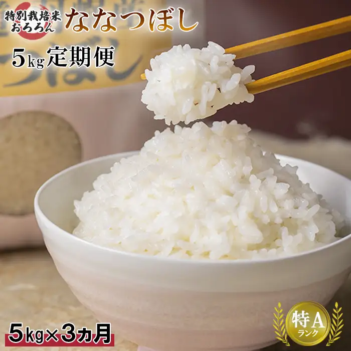 【2025年産】 【定期便：3回】 北海道羽幌産 特別栽培米 ななつぼし5kg【0812702】