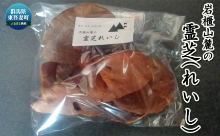 岩櫃山麓の霊芝（レイシ） 野菜 きのこ 乾燥 マンネンタケ 煎じる 食前 飲用 霊芝茶 焼酎 霊芝酒 群馬県産 東吾妻町産 国産 日本産 