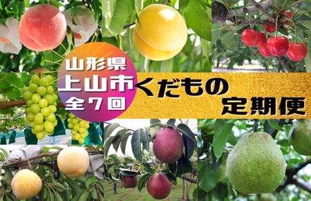 【定期便：全７回】くだもの定期便　0047-2601