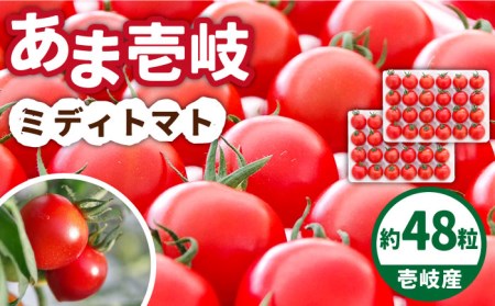 あま壱岐 ミディトマト 約48粒  《壱岐市》【壱岐の潮風】 [JAE009] トマト ミディトマト 野菜 ギフト プレゼント 贈り物 15000 15000円