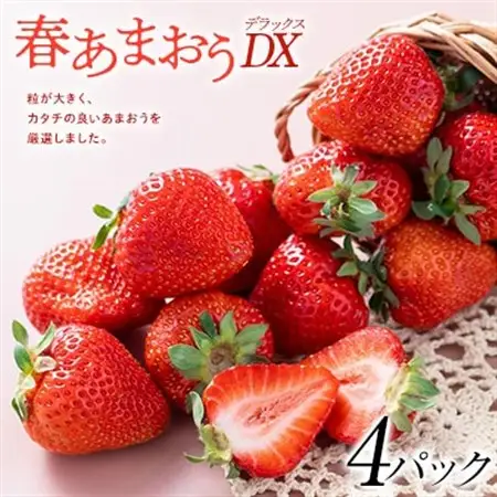 【2027年発送先行受付】フルーツソムリエが選んだ【春】あまおうDX(デラックス)4パック_果物・フルーツ いちご  イチゴ 苺_【配送不可地域：離島】【1353642】