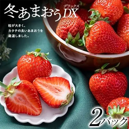 【12月上旬より順次発送】フルーツソムリエが選んだ【冬】あまおうDX(デラックス)2パック_果物・フルーツ いちご  イチゴ 苺_【配送不可地域：離島】【1353643】