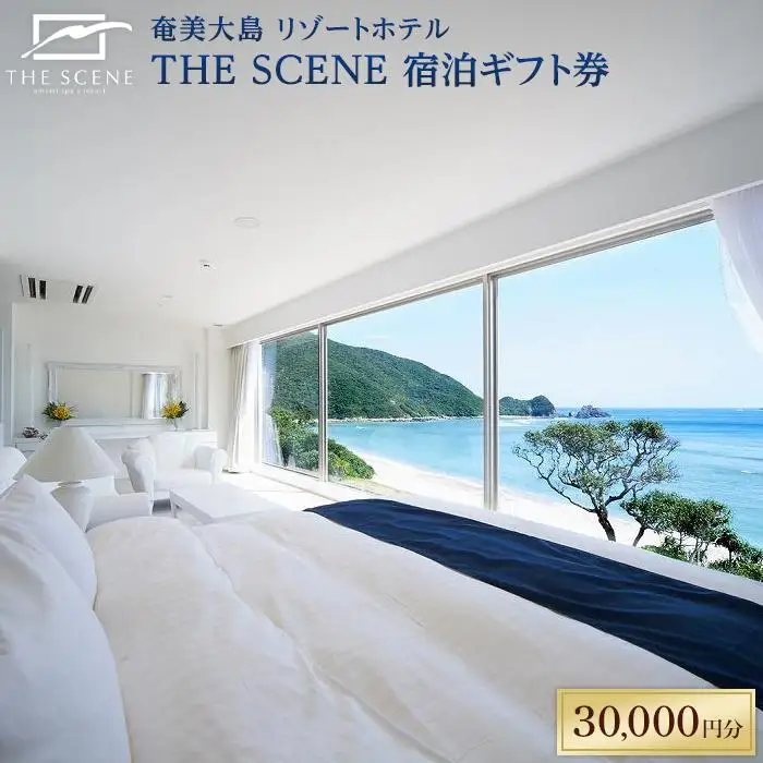 ホテル THE SCENE 宿泊ギフト券 30,000分 奄美大島 宿泊 旅行