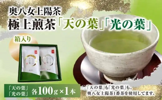 奥八女上陽茶　極上煎茶「天の葉」100ｇ・極上煎茶「光の葉」100ｇセット箱 178-003