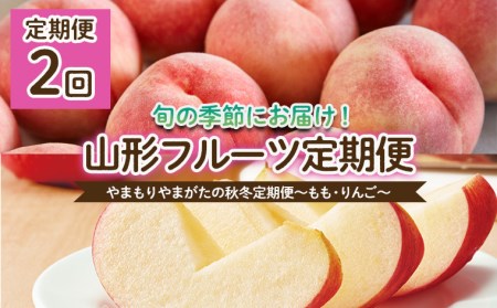 【定期便2回】やまもりやまがたの秋冬定期便～もも・りんご～ 【令和8年産先行予約】FU22-902 くだもの 果物 フルーツ 山形 山形県 山形市 2026年産