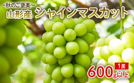 ～秋のご褒美～シャインマスカット1房 600g以上【令和8年産先行予約】FU22-016 くだもの 果物 フルーツ 山形 山形県 山形市 2026年産