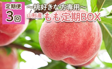 【定期便3回】～桃好きな方専用～もも定期BOX～ 【令和8年産先行予約】FU22-019 くだもの 果物 フルーツ 山形 山形県 山形市 2026年産