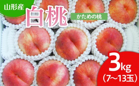 山形市産 白桃 3kg(かための桃) 【令和8年産先行予約】FU22-025 くだもの 果物 フルーツ 山形 山形県 山形市 2026年産