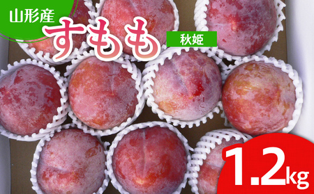 山形市産 すもも(秋姫) 1.2kg(7～12玉）【令和8年産先行予約】FU22-026 くだもの 果物 フルーツ 山形 山形県 山形市 2026年産