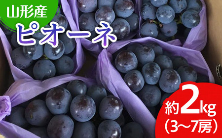 山形市産 ぶどう(ピオーネ) 秀 2kg(3?7房)[後半] 【令和8年産先行予約】FU22-038 くだもの 果物 フルーツ 山形 山形県 山形市 2026年産