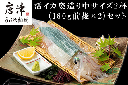 活イカ姿造り中サイズ2杯(180g前後×2)セット！ 鮮度抜群 捌きたて瞬間冷凍 いか活造り 刺身 簡単 呼子 ギフト