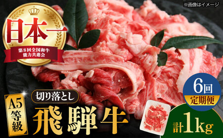【6回定期便】【飛騨牛】A5等級切り落とし 1kg [TAZ016] 肉 定期便