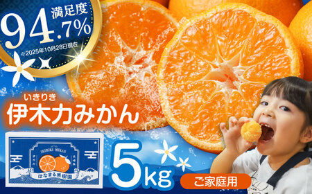 ※【2026年10月下旬より順次発送／先行予約】伊木力みかん(家庭用) 5kg / みかん ミカン 蜜柑 オレンジ フルーツ 果物 / 諫早市 / 山野果樹園 [AHCF002R]