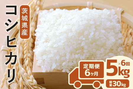 定期便 常陸牛農家が育てるコシヒカリ 5kg×6回 令和7年度産 米 お米 白米 こめ 精米 取り寄せ 特産 ごはん ご飯 コメ お取り寄せ ギフト 贈り物 お弁当 弁当 おにぎり ふっくら ツヤツヤ 甘い 農家直送 産地直送 国産 茨城県産 A31-005