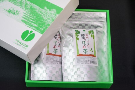 那珂パパイヤ 葉っぱのお茶