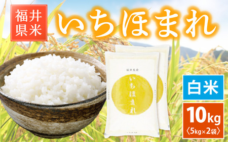  令和7年産 いちほまれ 10kg (5kg×2)「福井県ブランド」 特A通算6回獲得！【白米】【人気品種】 [e30-c015]
