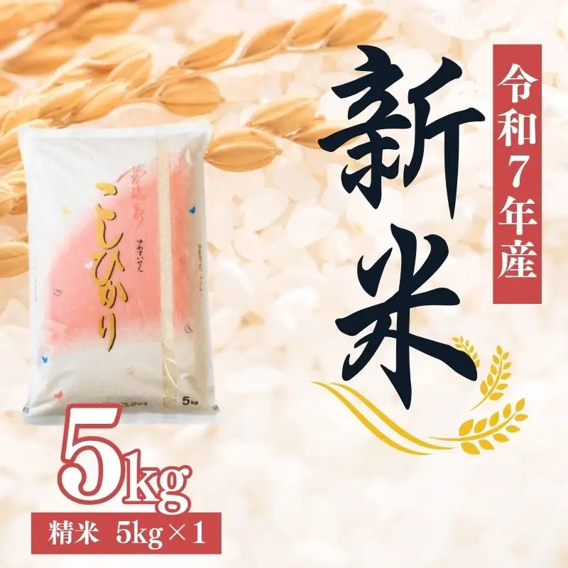 No.2382大文字屋米穀店【令和7年産】コシヒカリ精米 5kg