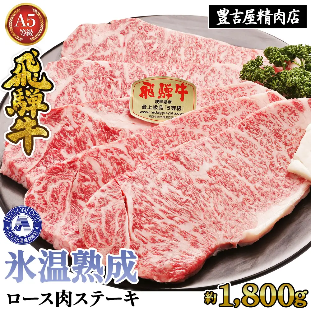 ロース肉ステーキ 10枚（約1800g）　氷温(R)熟成　飛騨牛Ａ５等級 リキッドフリーズ [No.539]