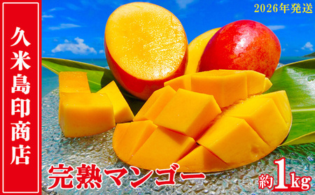 マンゴー【2026年発送】久米島印商店 完熟マンゴー 約1kg  フルーツ 果物