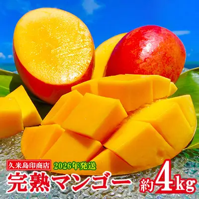 マンゴー【2026年発送】久米島印商店 完熟マンゴー 約4kg フルーツ 果物