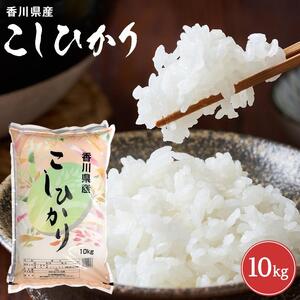 【寄附額改定】令和7年度　香川県産コシヒカリ10kg