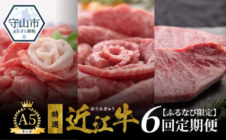 【ふるなび限定】A5ランク特選近江牛　6回定期便 近江牛 A5ランク  CY-002T