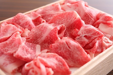 飛騨牛 切り落とし肉1kg [Q3108] 切り落とし肉