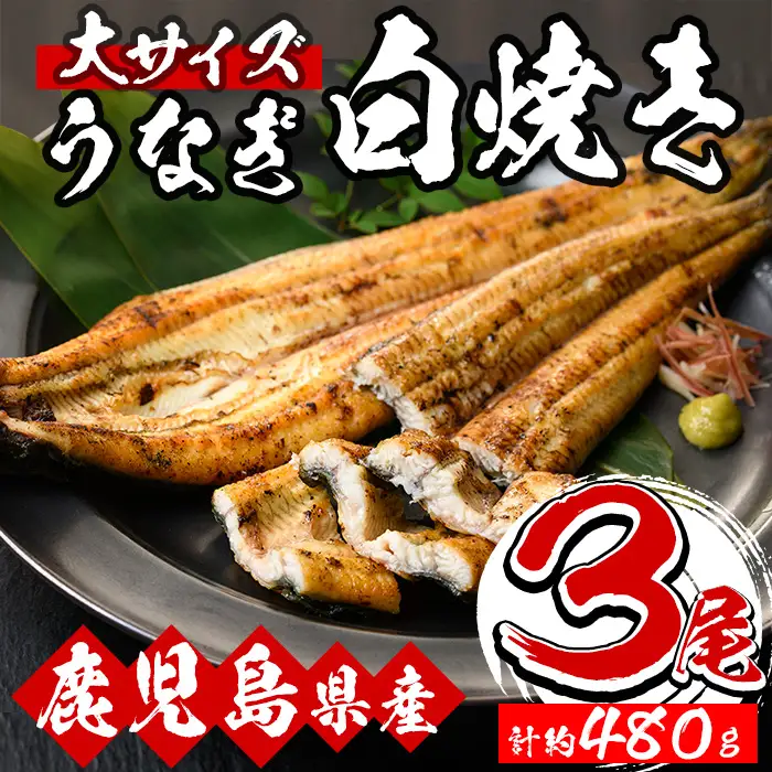 鹿児島県産 うなぎ 白焼き 大 3尾 うなぎ【00-025-08】