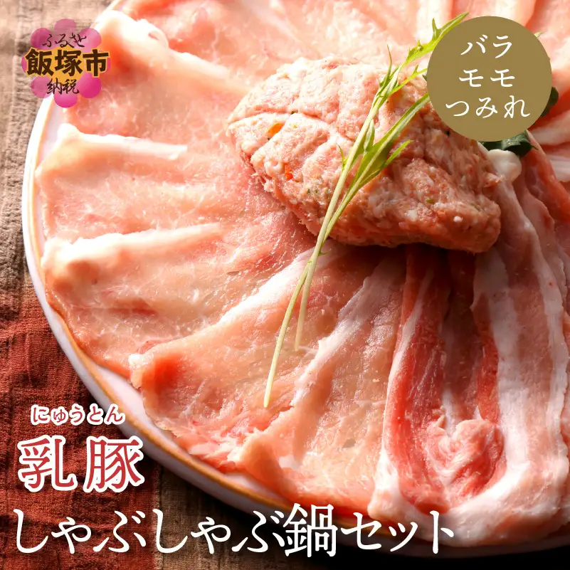 乳豚 しゃぶしゃぶ鍋Bセット(バラ・モモ・つみれ)【A5-405】