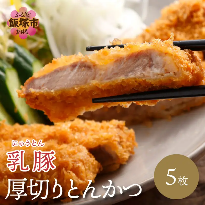 乳豚 厚切りとんかつ5枚【A5-406】