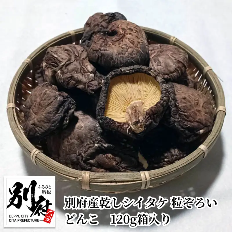 別府産乾しシイタケ 粒ぞろいどんこ　120g箱入り_B051-003