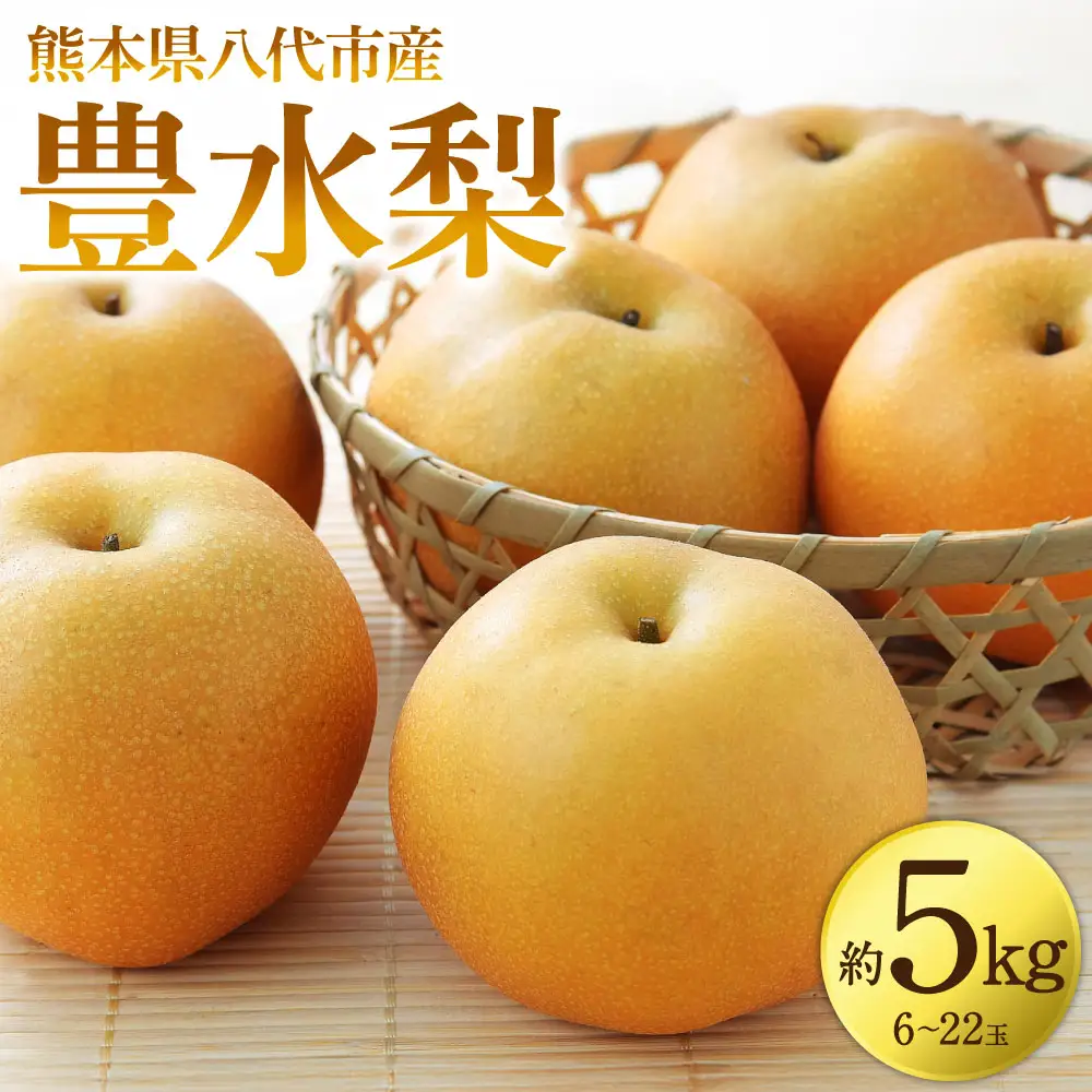 【先行予約】 豊水梨 約5kg (6～22玉) 梨 なし ナシ フルーツ くだもの 果物 旬 熊本県 八代市 【2026年8月中旬より順次発送】