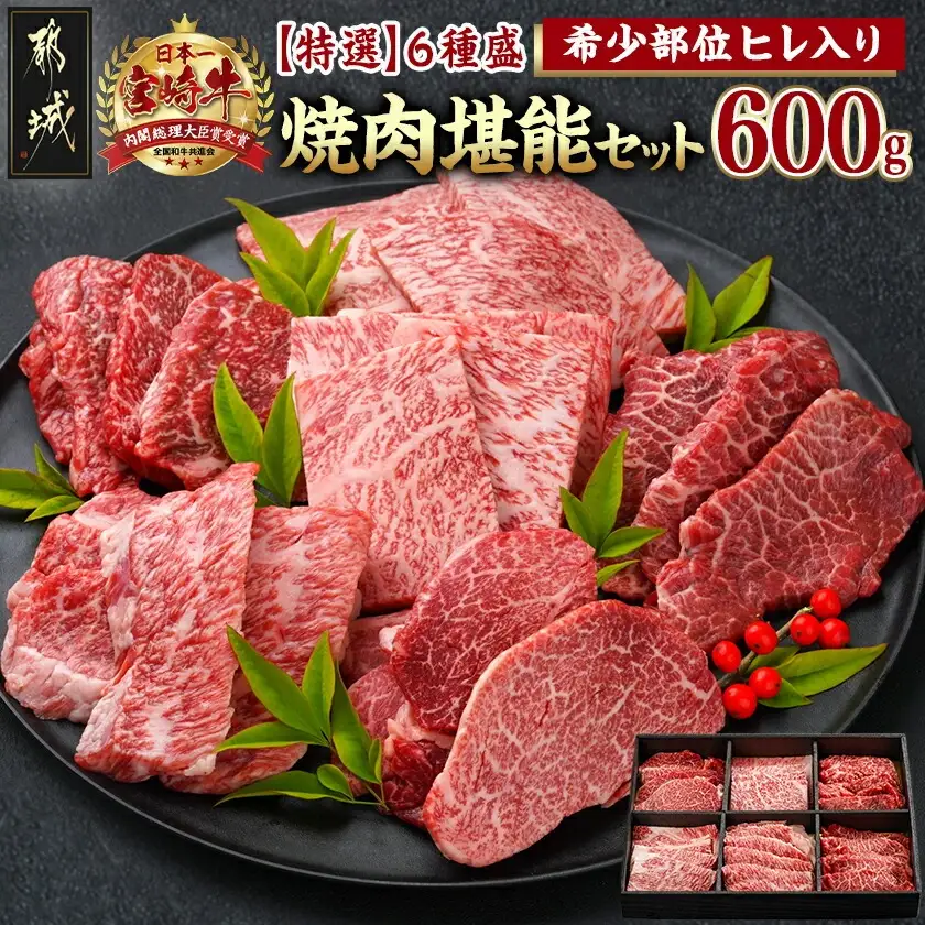 ≪希少部位ヒレ入り！≫ 宮崎牛【特選】6種盛 焼肉堪能セット 600g〔24-6502〕_(都城市) 宮崎県産宮崎牛 焼肉6種盛 各100g ロース 肩ロース ヒレ ウデ バラ モモ 秋特集