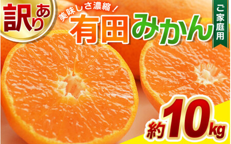 訳あり 有田みかん 約10kg【nuk138H】