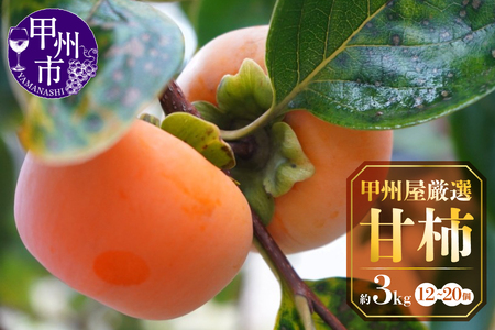 甲州屋商店厳選 甘柿 約3kg 12～20個【2026年発送】B-139