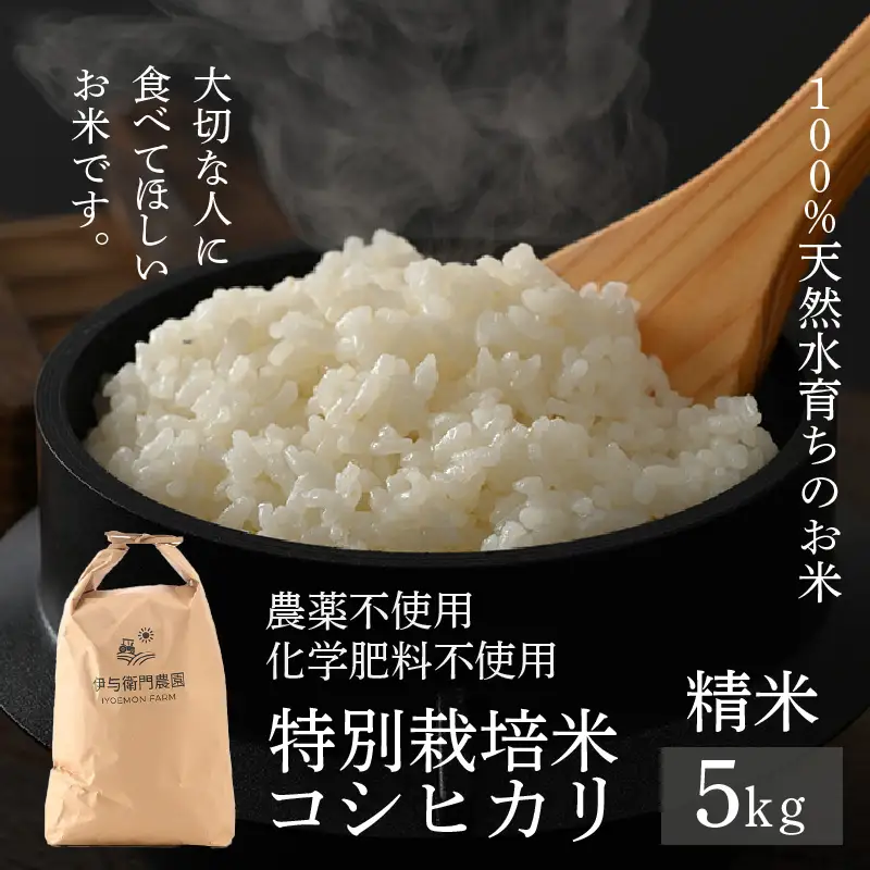 【先行予約】【令和8年産 新米】伊与衛門農園のコシヒカリ 精米 5kg 特別栽培米 化学肥料不使用 ＜温度と湿度を常時管理し新鮮米を出荷！＞／ 高品質 鮮度抜群 福井県あわら産 ブランド米 白米 お米 ※2026年9月下旬より順次発送予定 [aw071-a009]