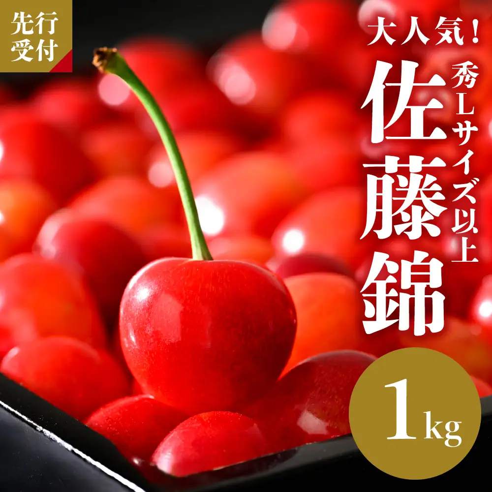 さくらんぼ 佐藤錦 1kg 秀L以上 バラ詰め 令和8年産 さくらんぼ