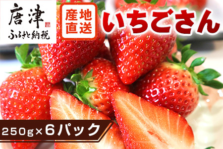 『先行予約』【令和9年3月より順次発送】唐津産 いちごさん 約250g×6パック(合計約1.5kg)