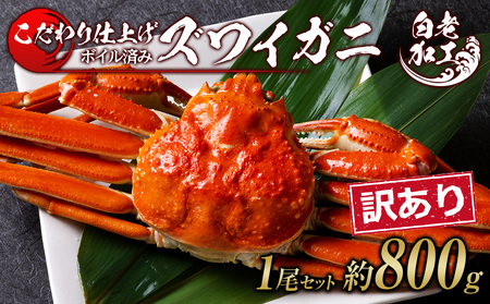 訳あり ズワイガニ 姿 ボイル済み 冷凍 1尾セット 約800g BM338