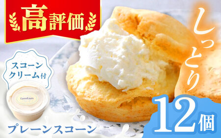 スコーン 12個セット[TAK001]