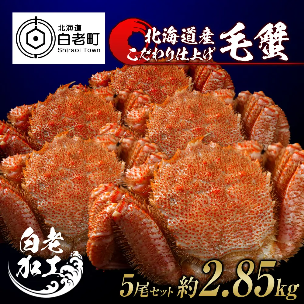 毛蟹 ボイル済み 冷凍 5尾セット 約2.85kg BM298