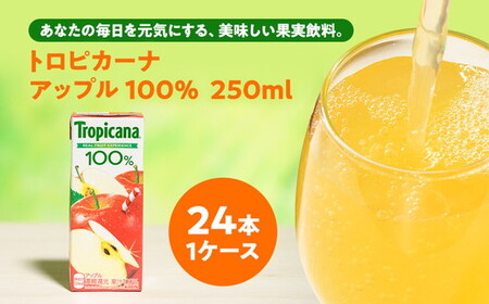 トロピカーナ 100％ アップル 250ml LLスリム×24本
