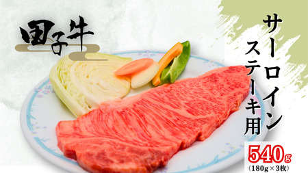 田子牛 サーロインステーキ用180g×3枚