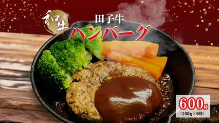 田子牛 ハンバーグ約100g×6枚