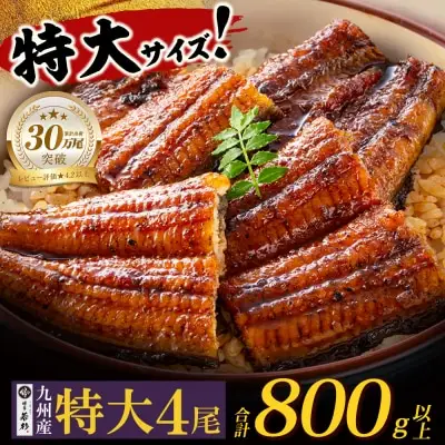 Y61-74 国産 うなぎ 蒲焼特大サイズ4尾（計800g以上） うなぎ